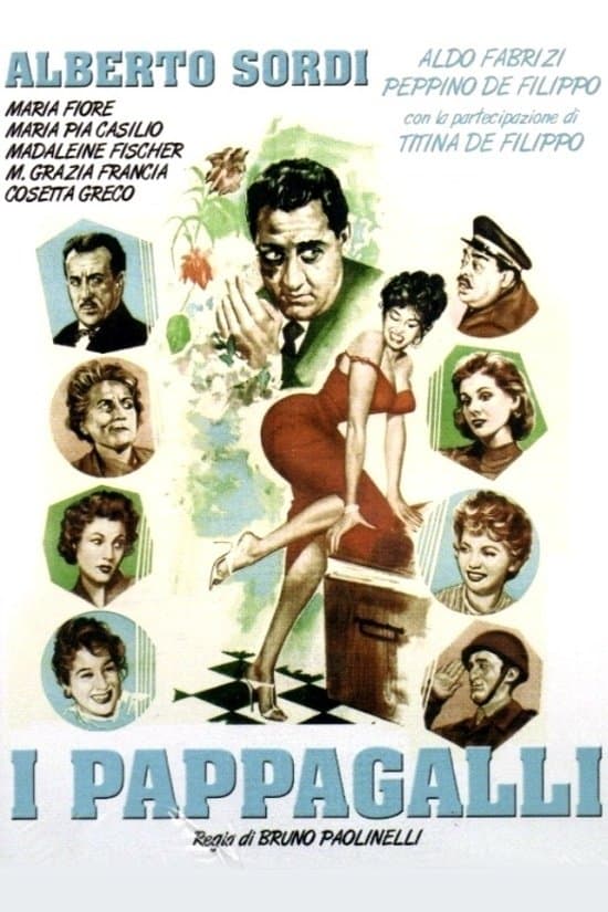 Poster I pappagalli