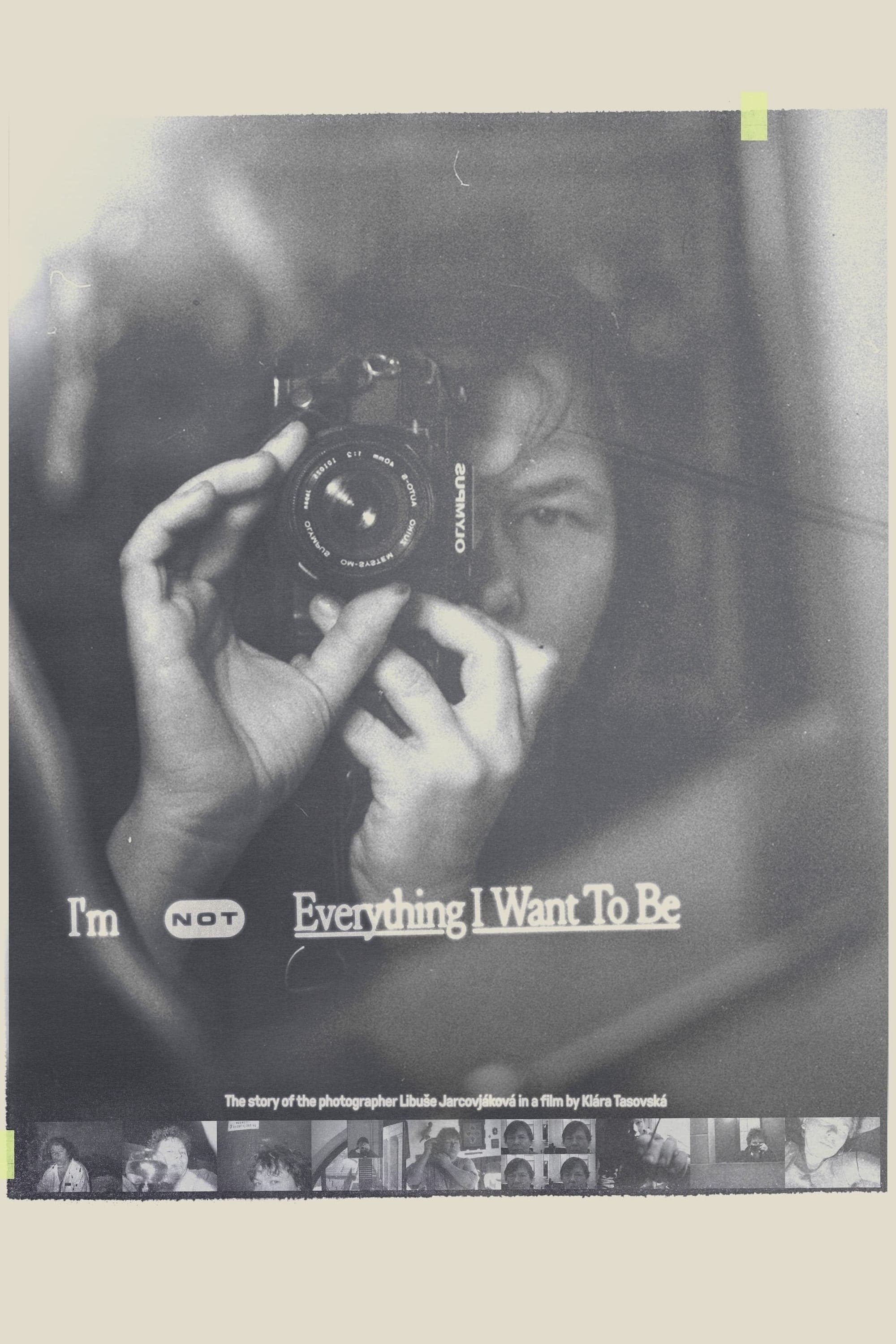 Poster I'm Not Everything I Want to Be