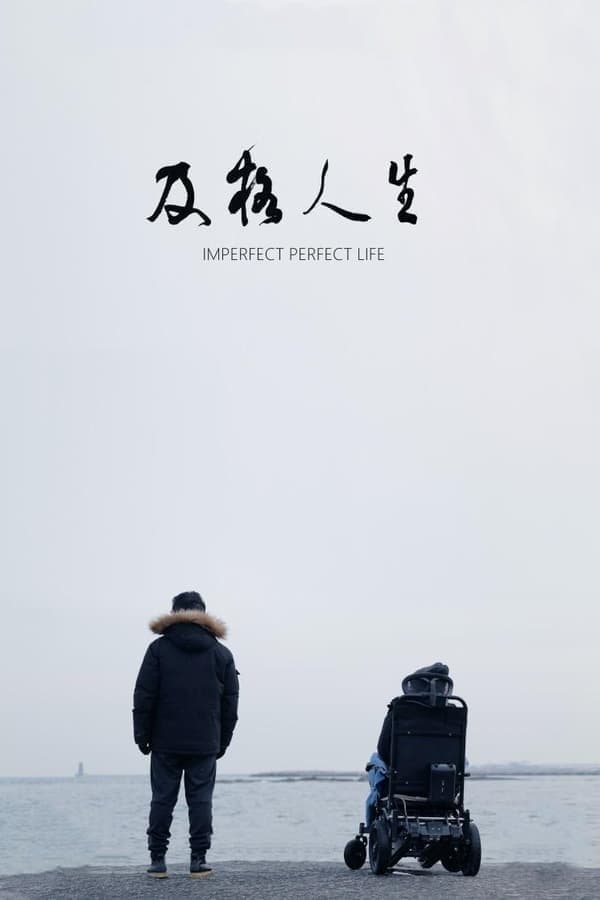 Poster Imperfect Perfect Life