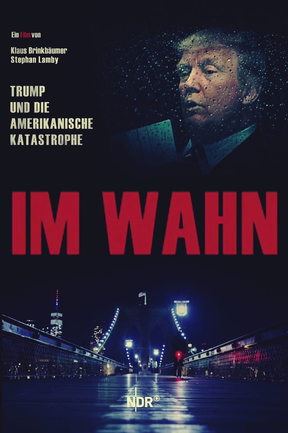 Poster In Delusion: Trump and the American Catastrophe