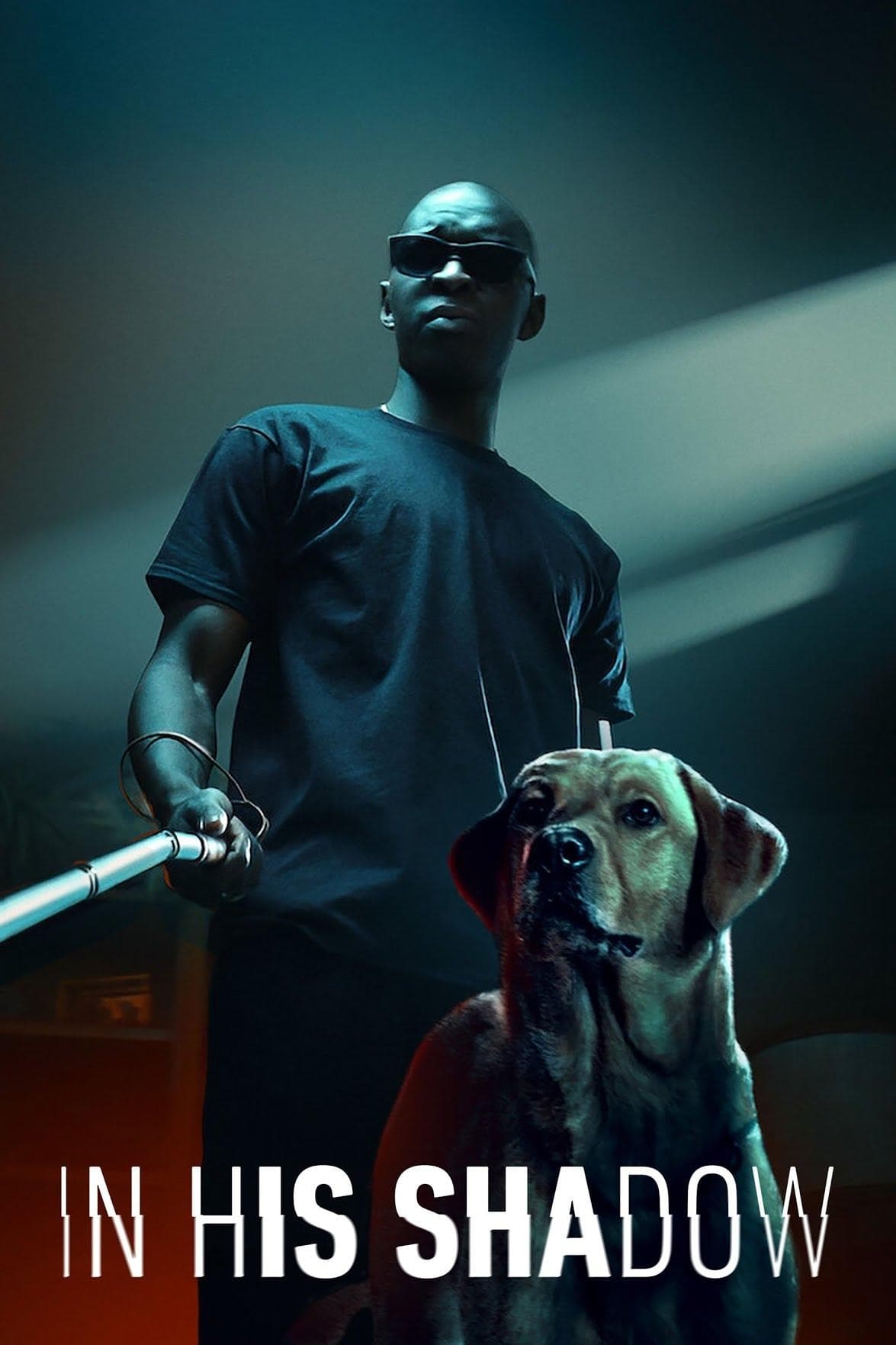 Poster In His Shadow