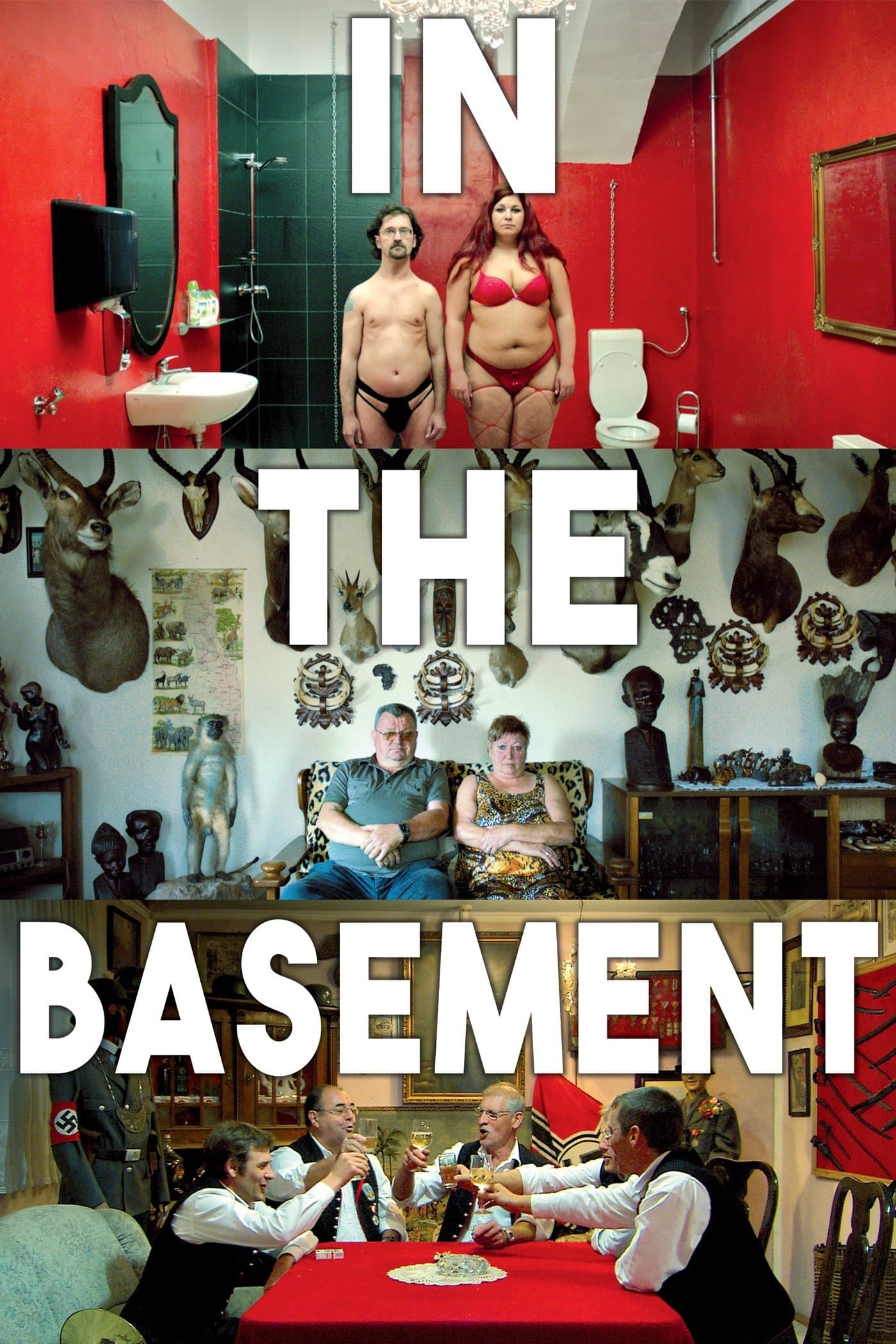 Poster In the Basement