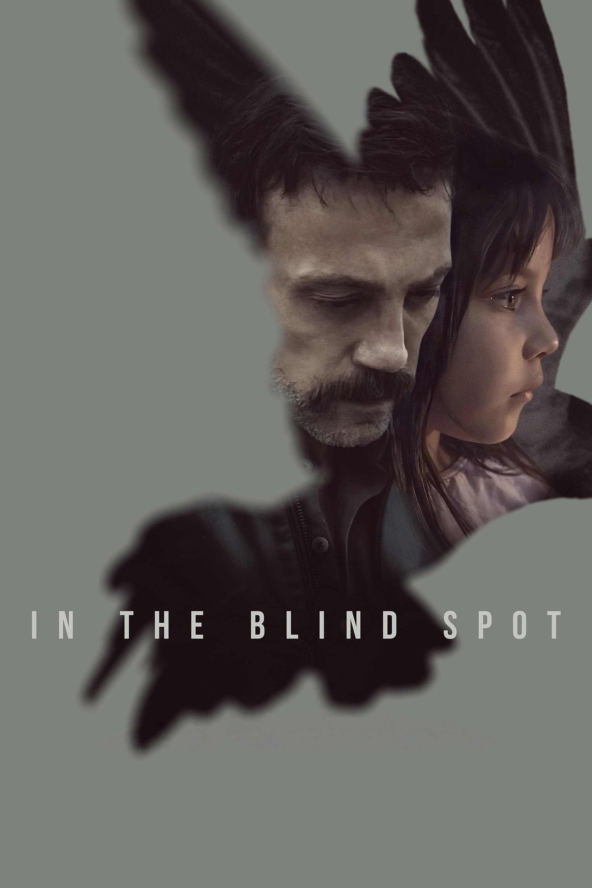 Poster In the Blind Spot