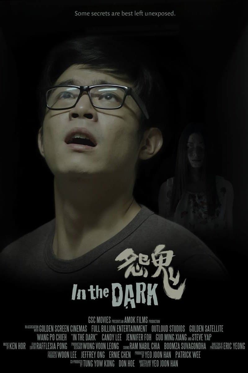 Poster In the Dark