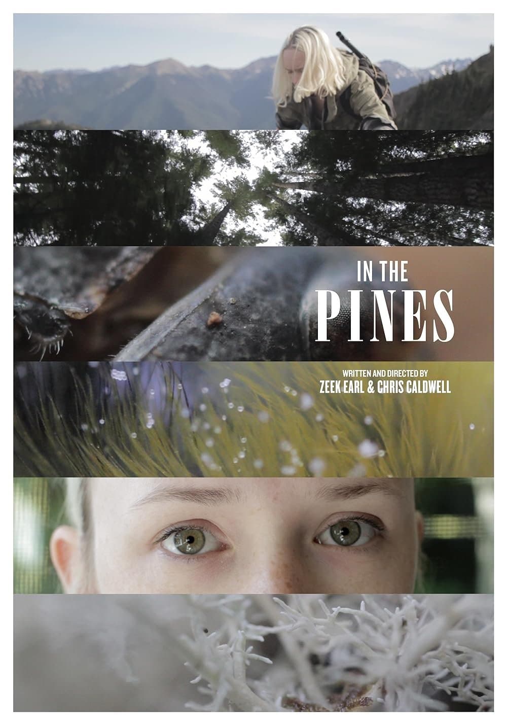 Poster In the Pines
