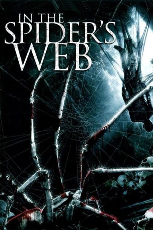 Poster In the Spider's Web