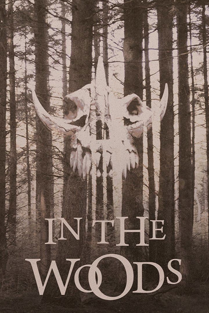 Poster In the Woods