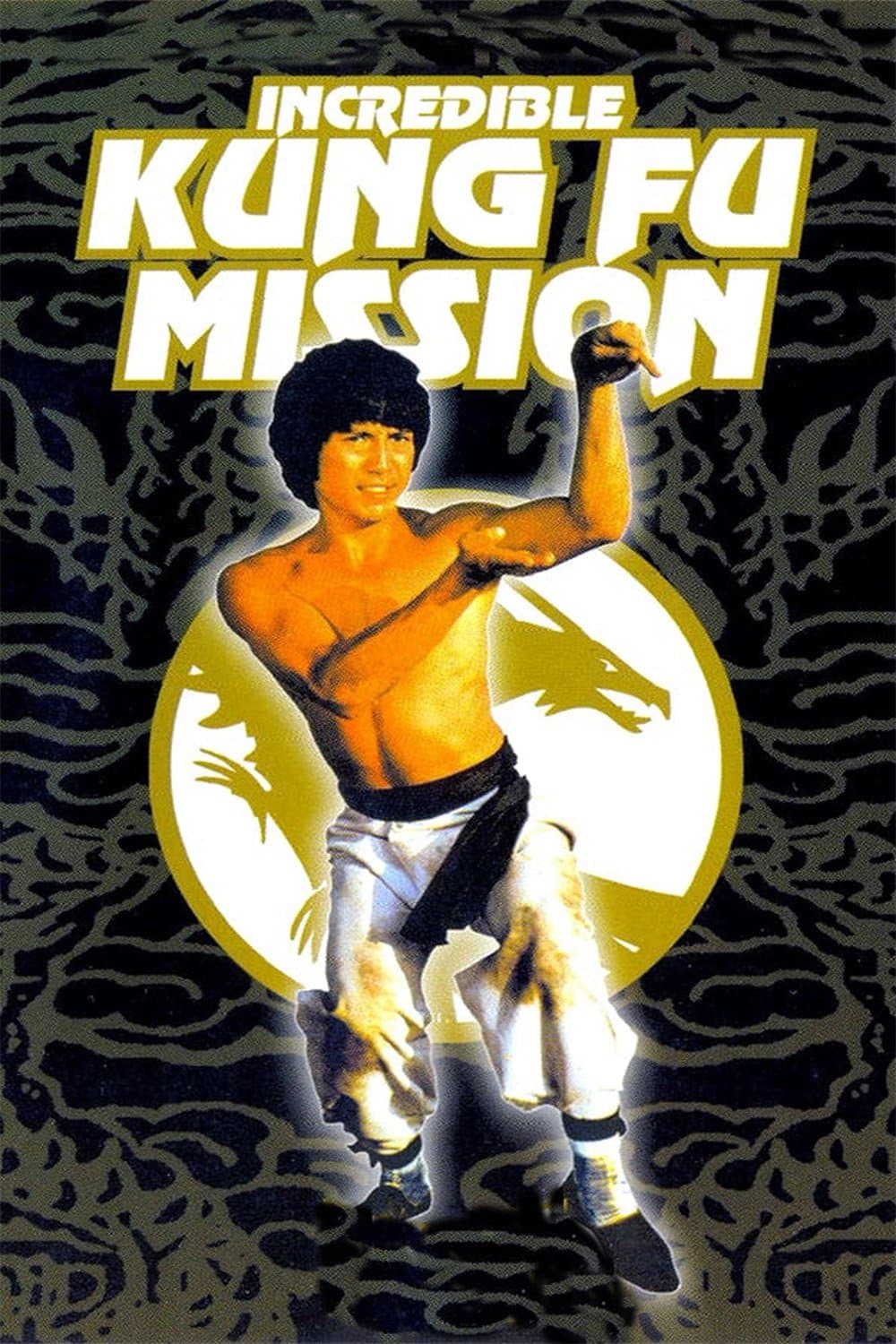 Poster Incredible Kung Fu Mission