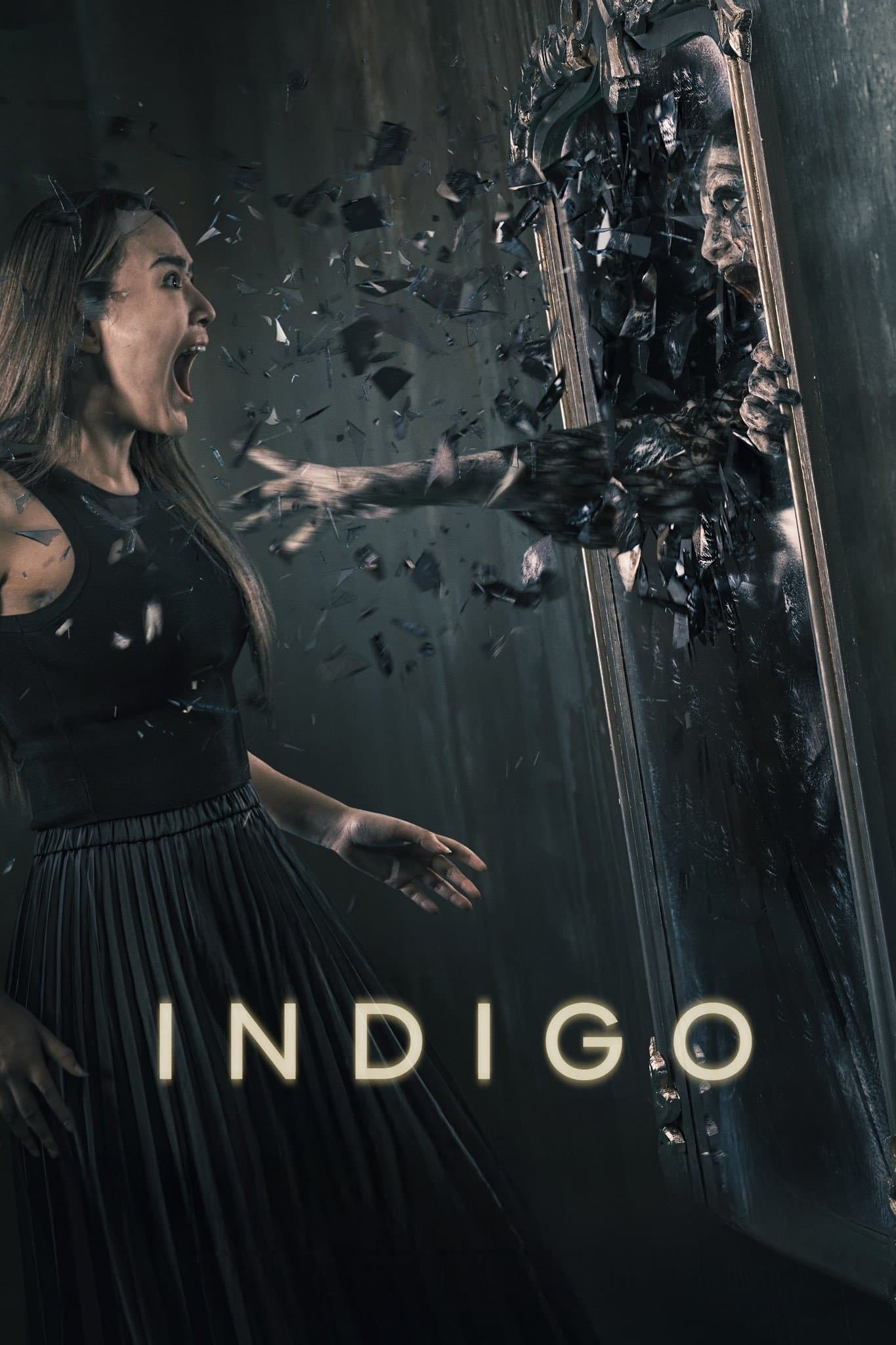 Poster Indigo
