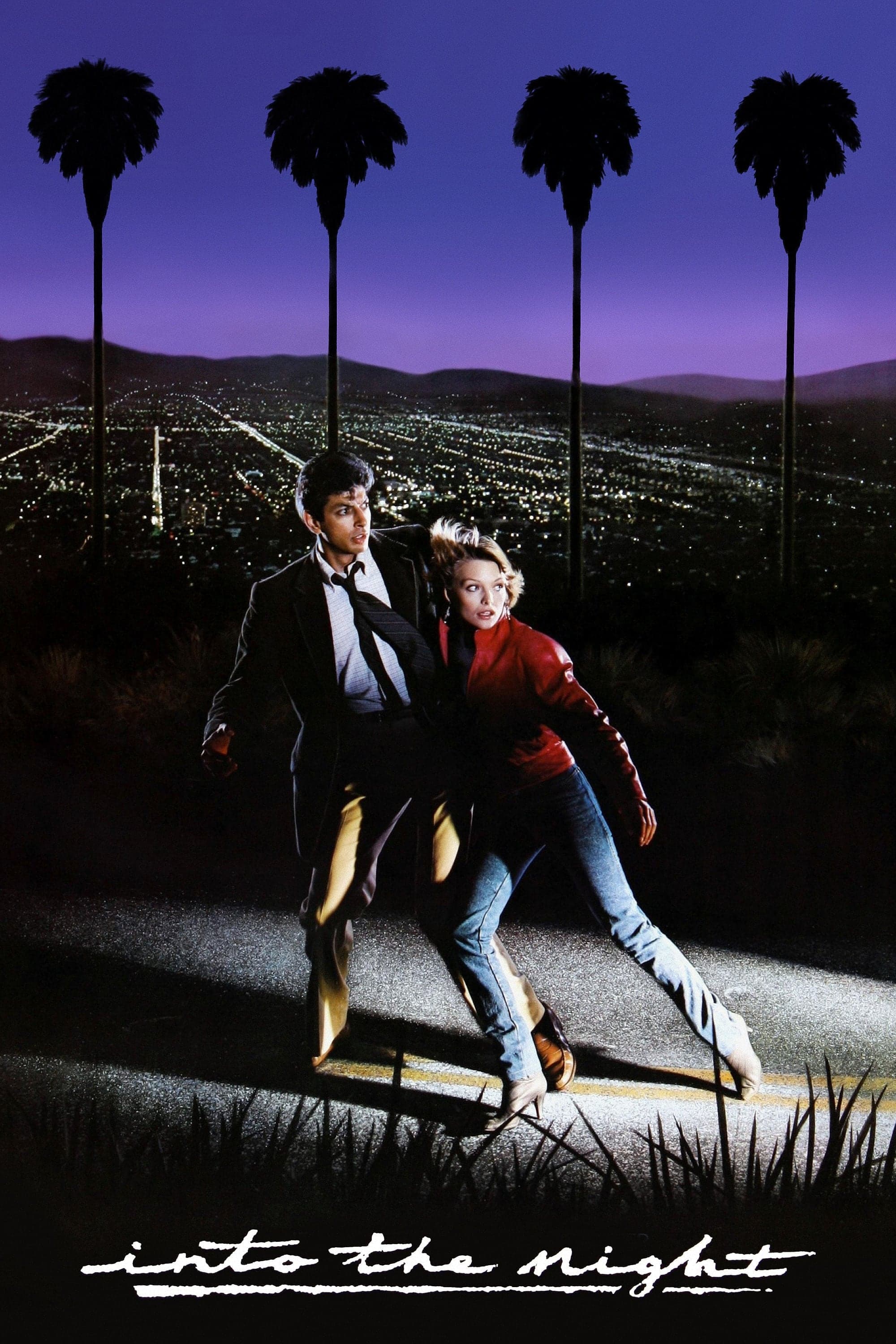 Poster Into the Night