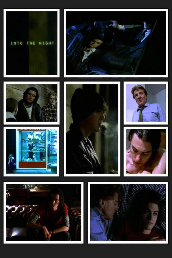 Poster Into the Night