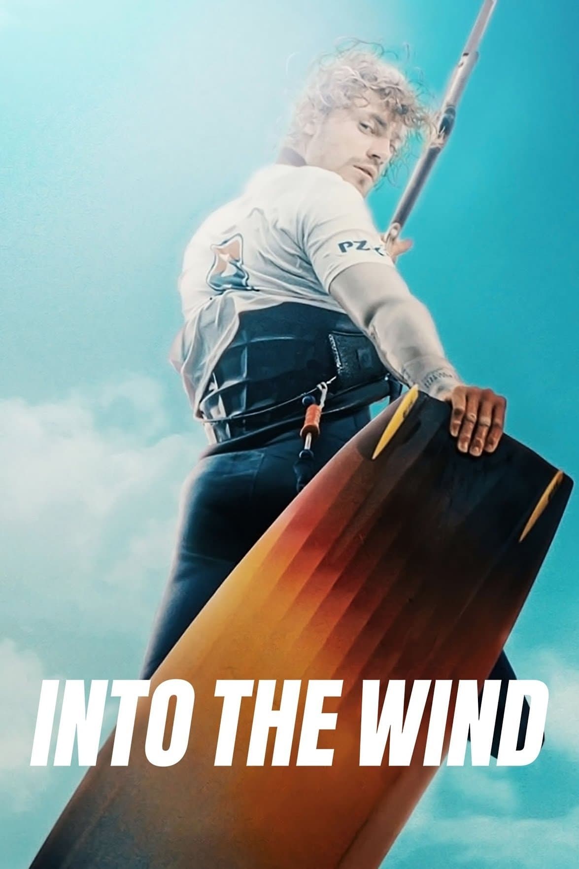 Poster Into the Wind