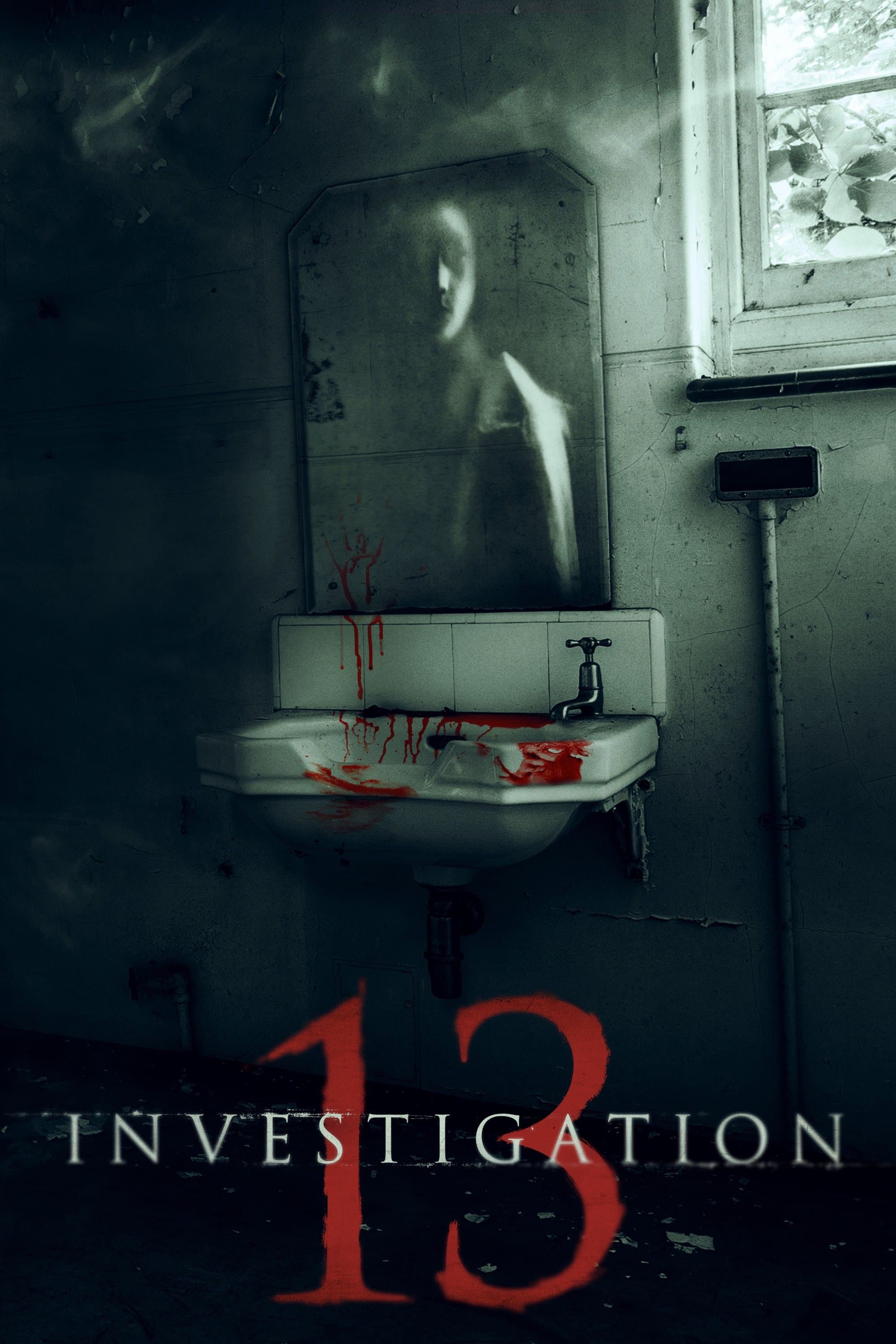Poster Investigation 13