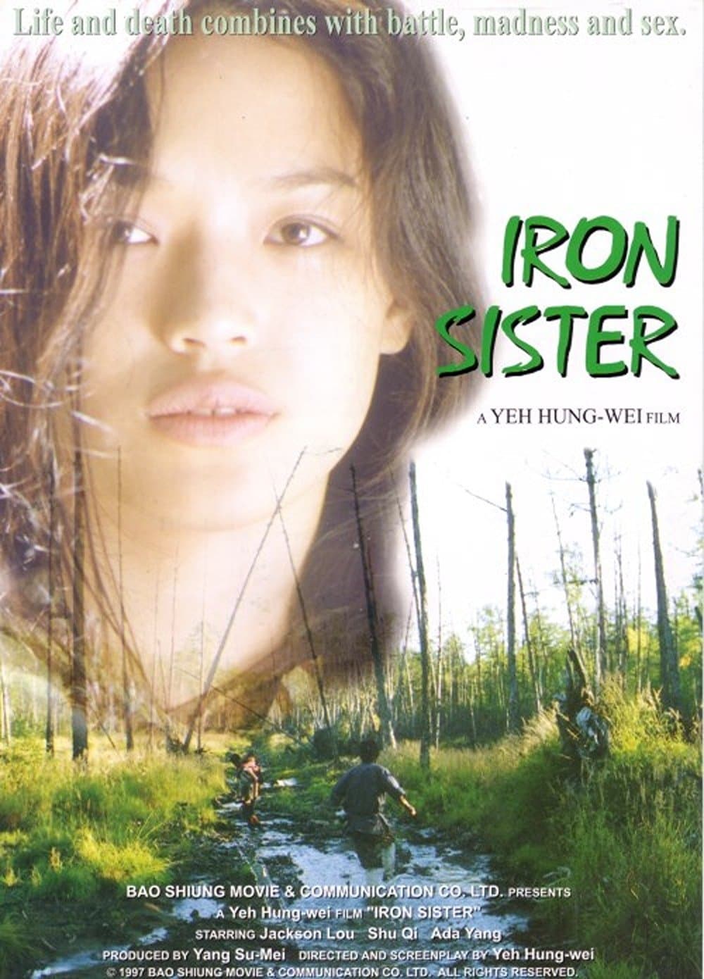 Poster Iron Sister