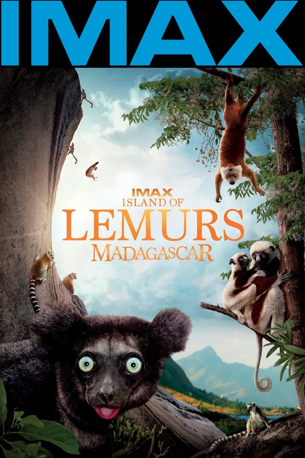 Poster Island of Lemurs: Madagascar
