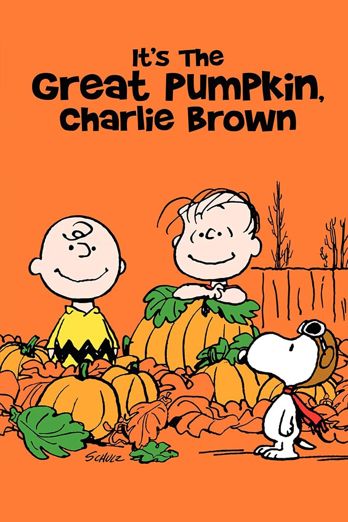Poster It's the Great Pumpkin, Charlie Brown