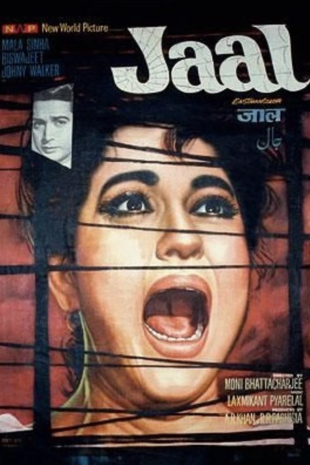 Poster Jaal