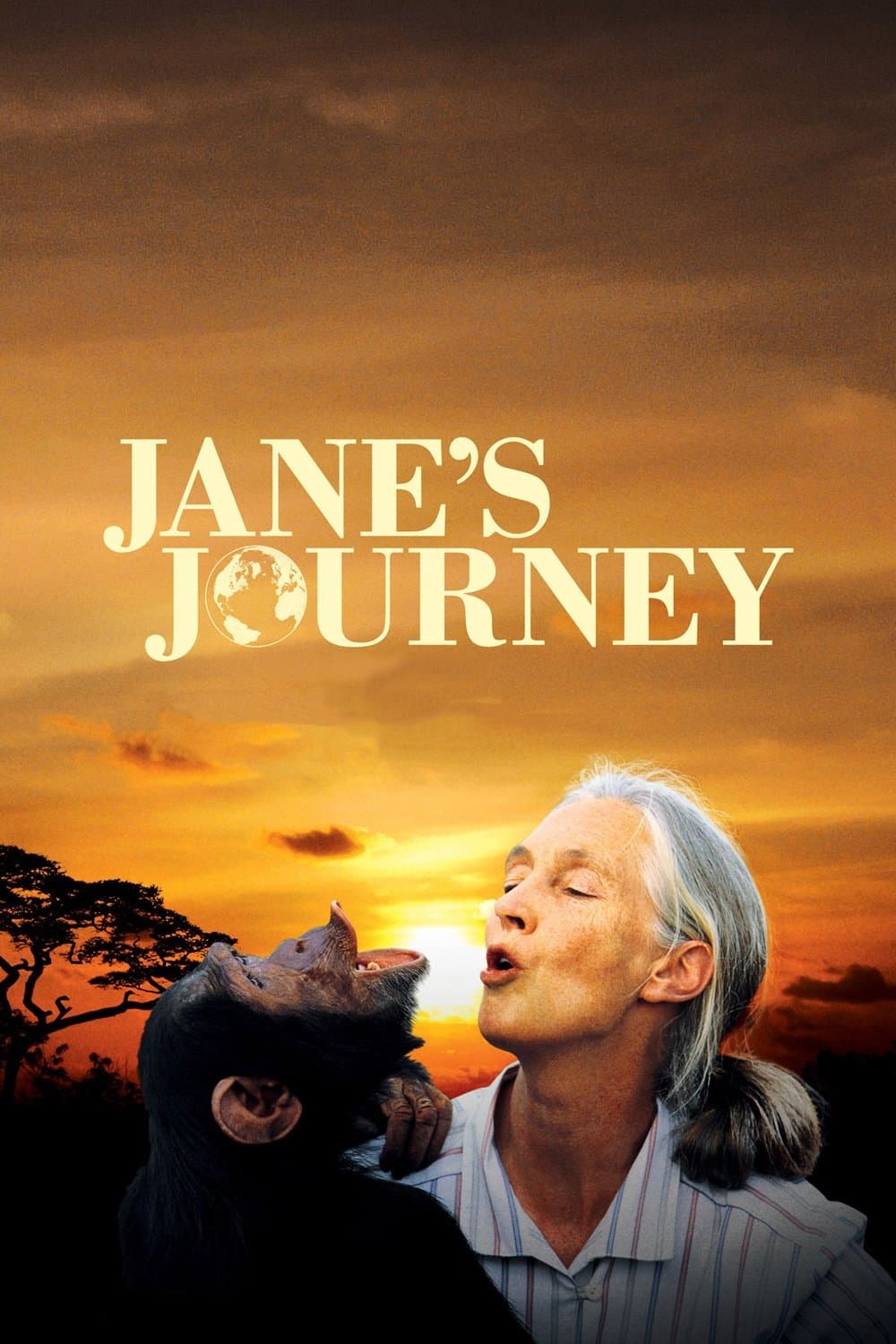 Poster Jane's Journey