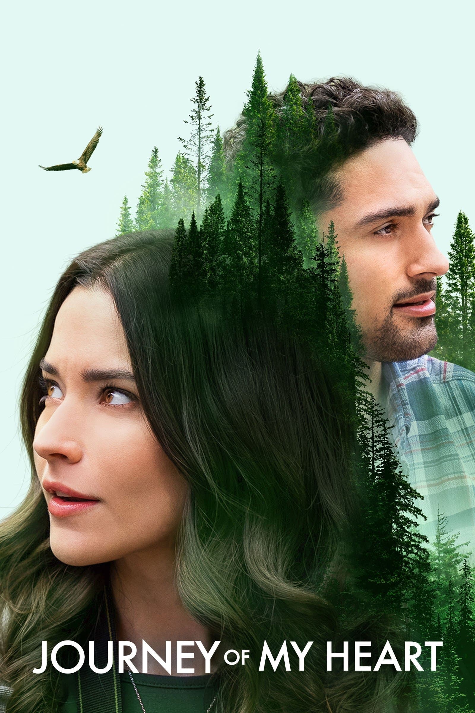 Poster Journey of My Heart