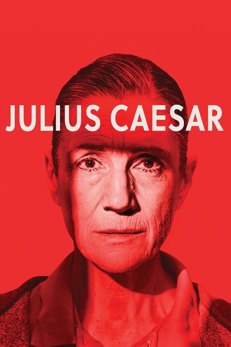 Poster Julius Caesar