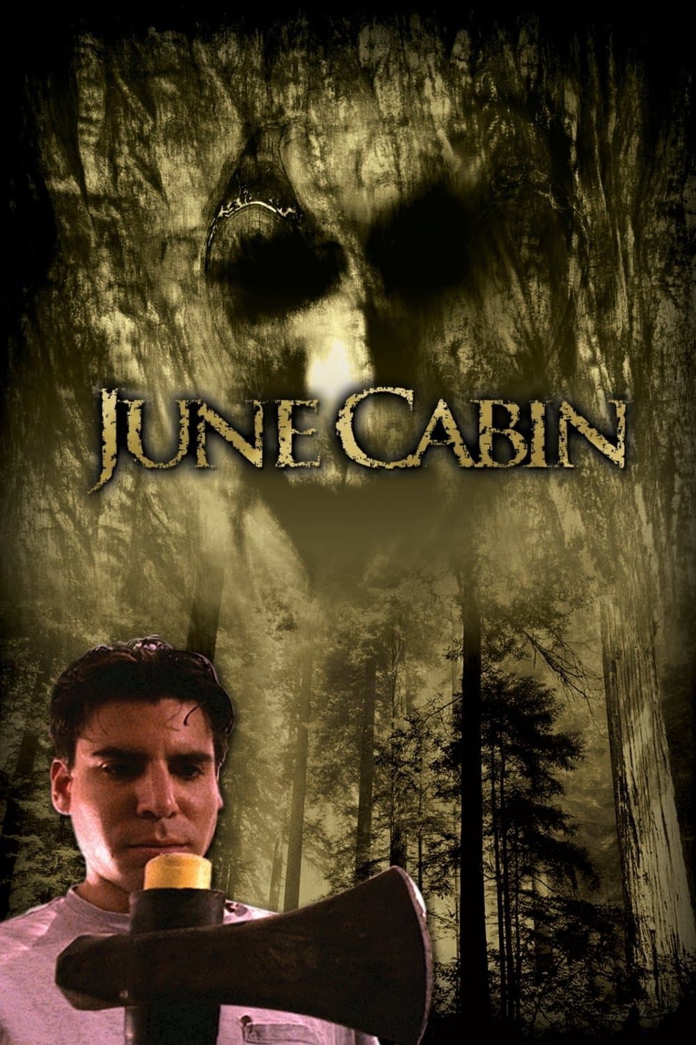 Poster June Cabin