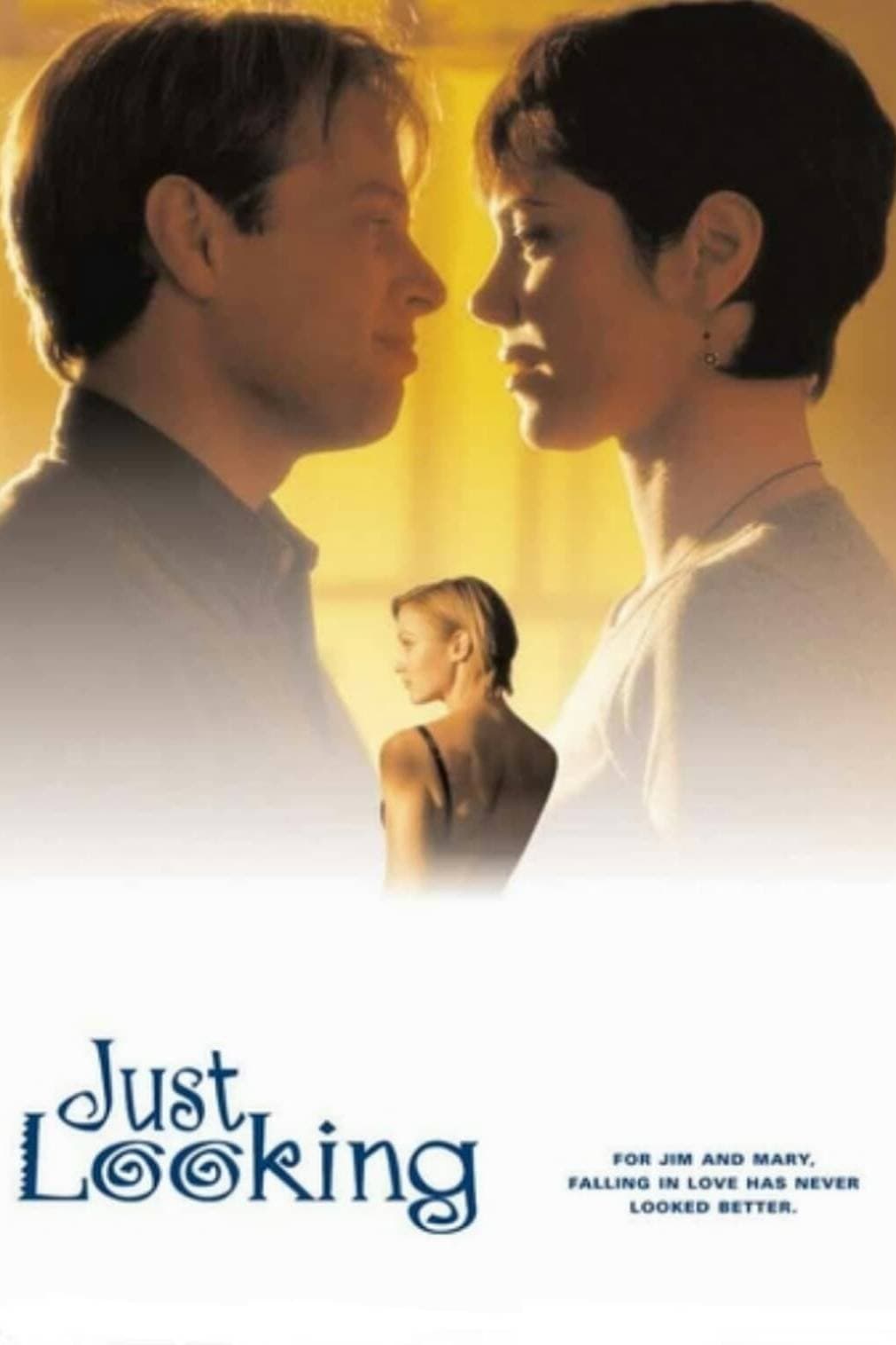 Poster Just Looking