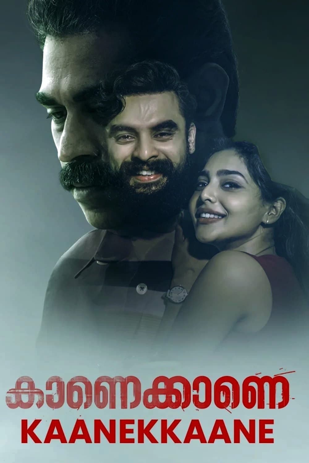 Poster Kaanekkaane