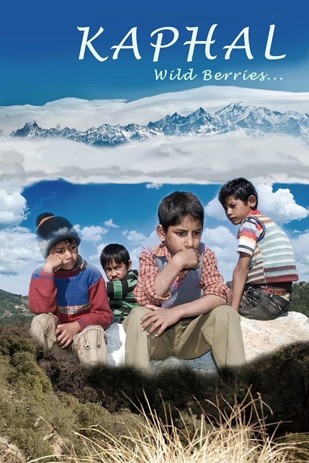 Poster Kaphal: Wild Berries