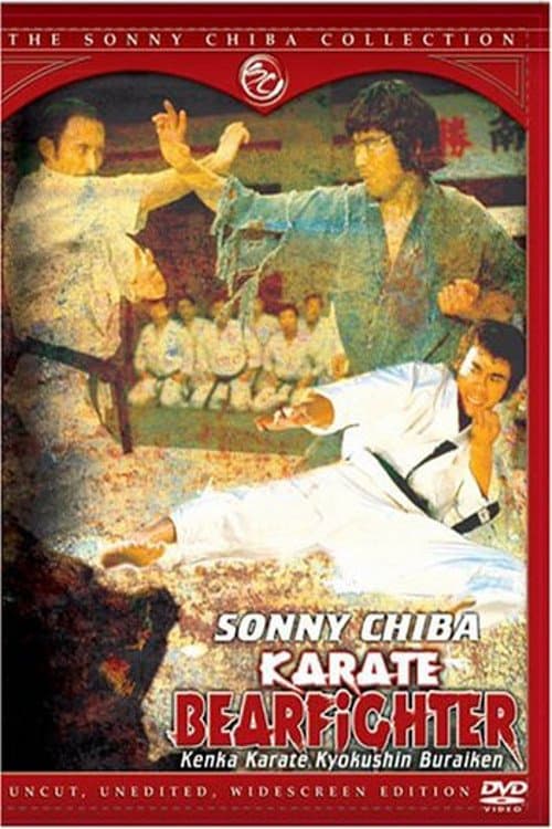 Poster Karate Bear Fighter