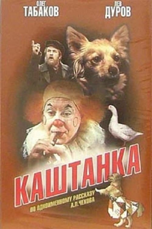 Poster Kashtanka