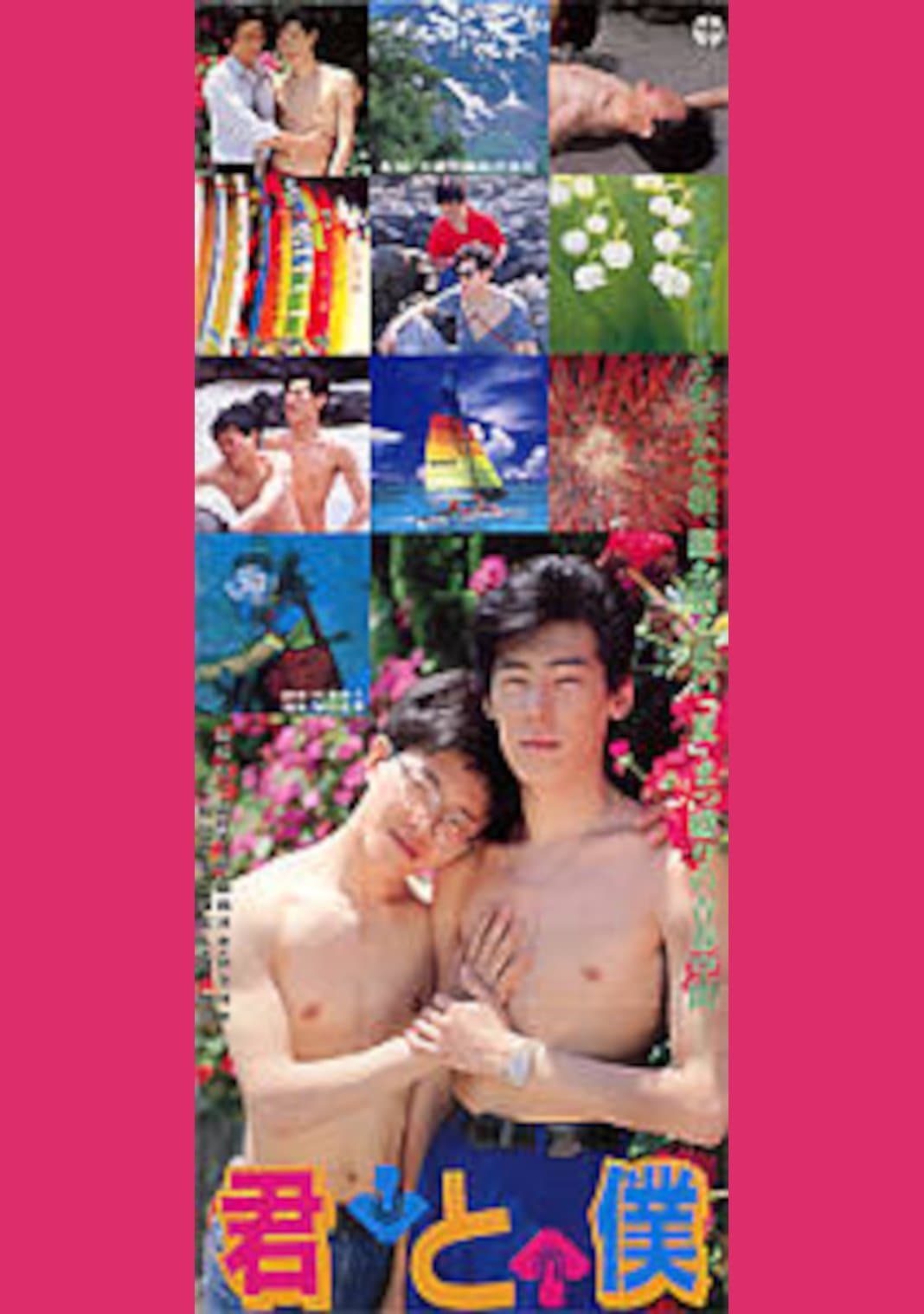 Poster Kimi to boku