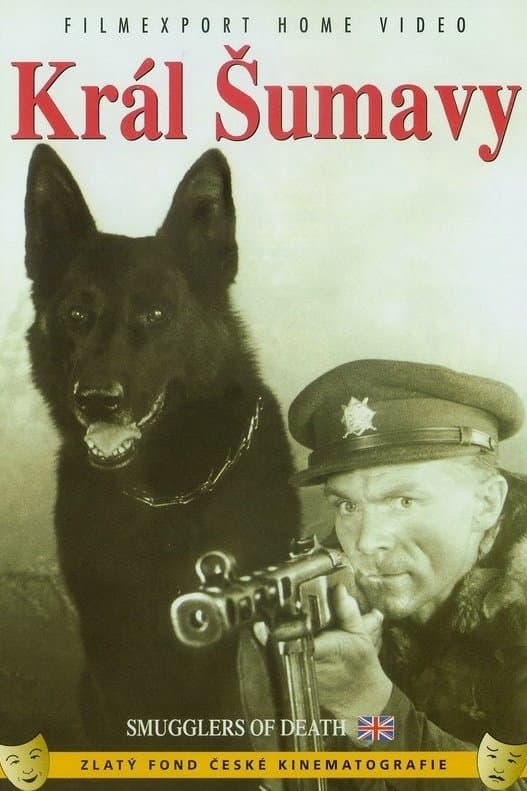 Poster King of the Sumava