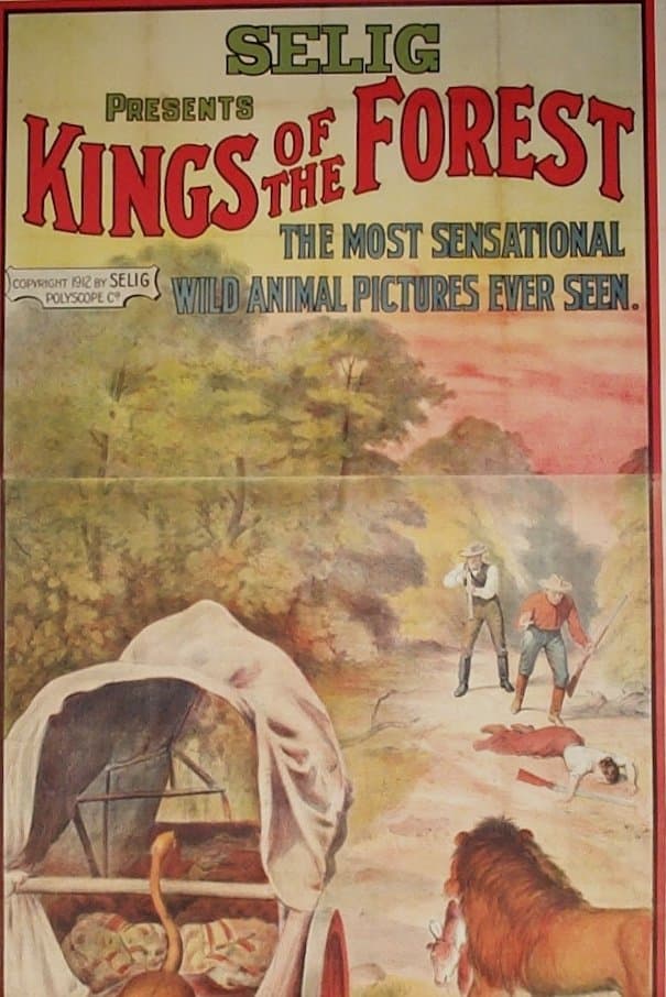 Poster Kings of the Forest