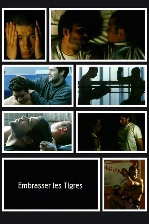 Poster Kissing Tigers