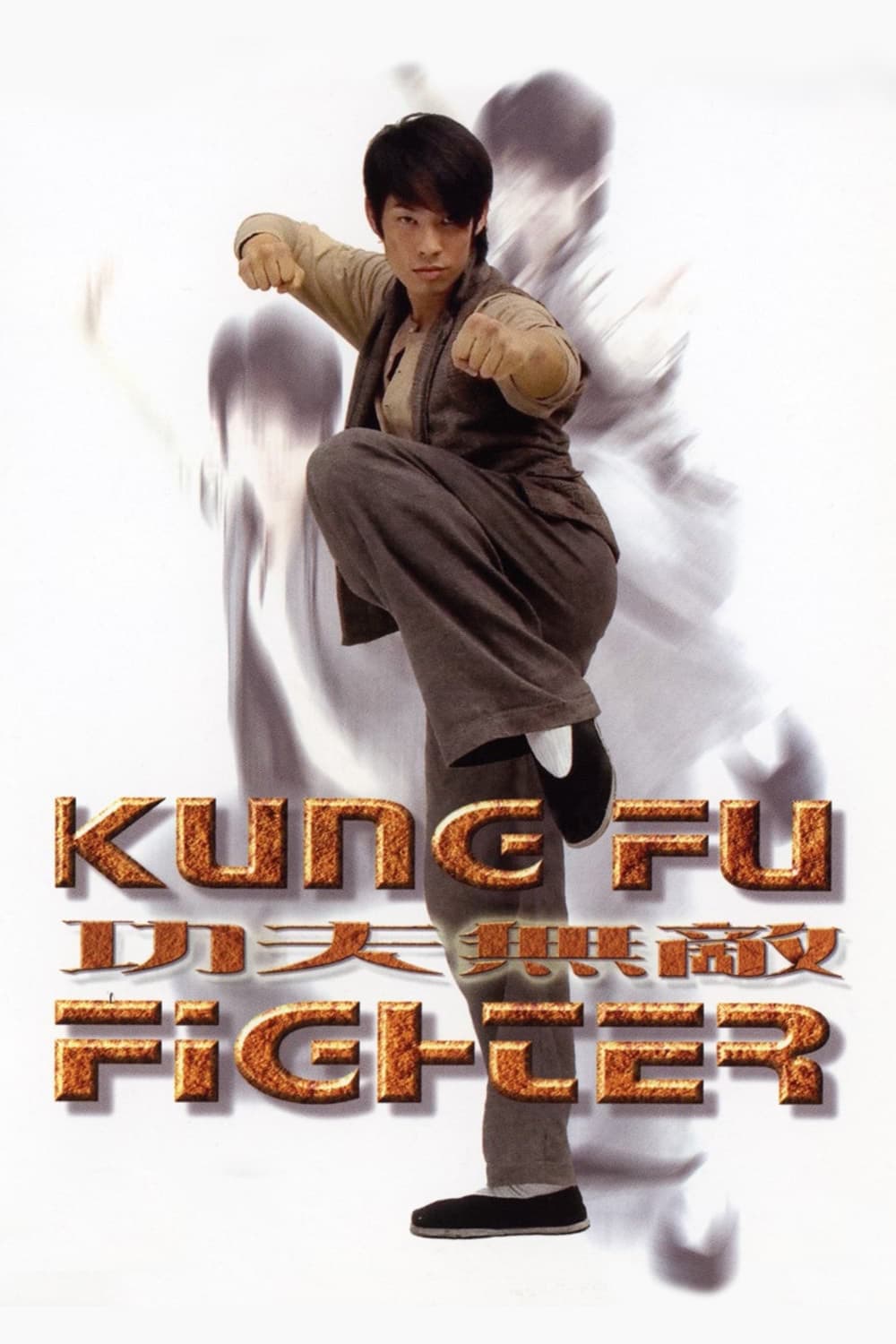 Poster Kung Fu Fighter