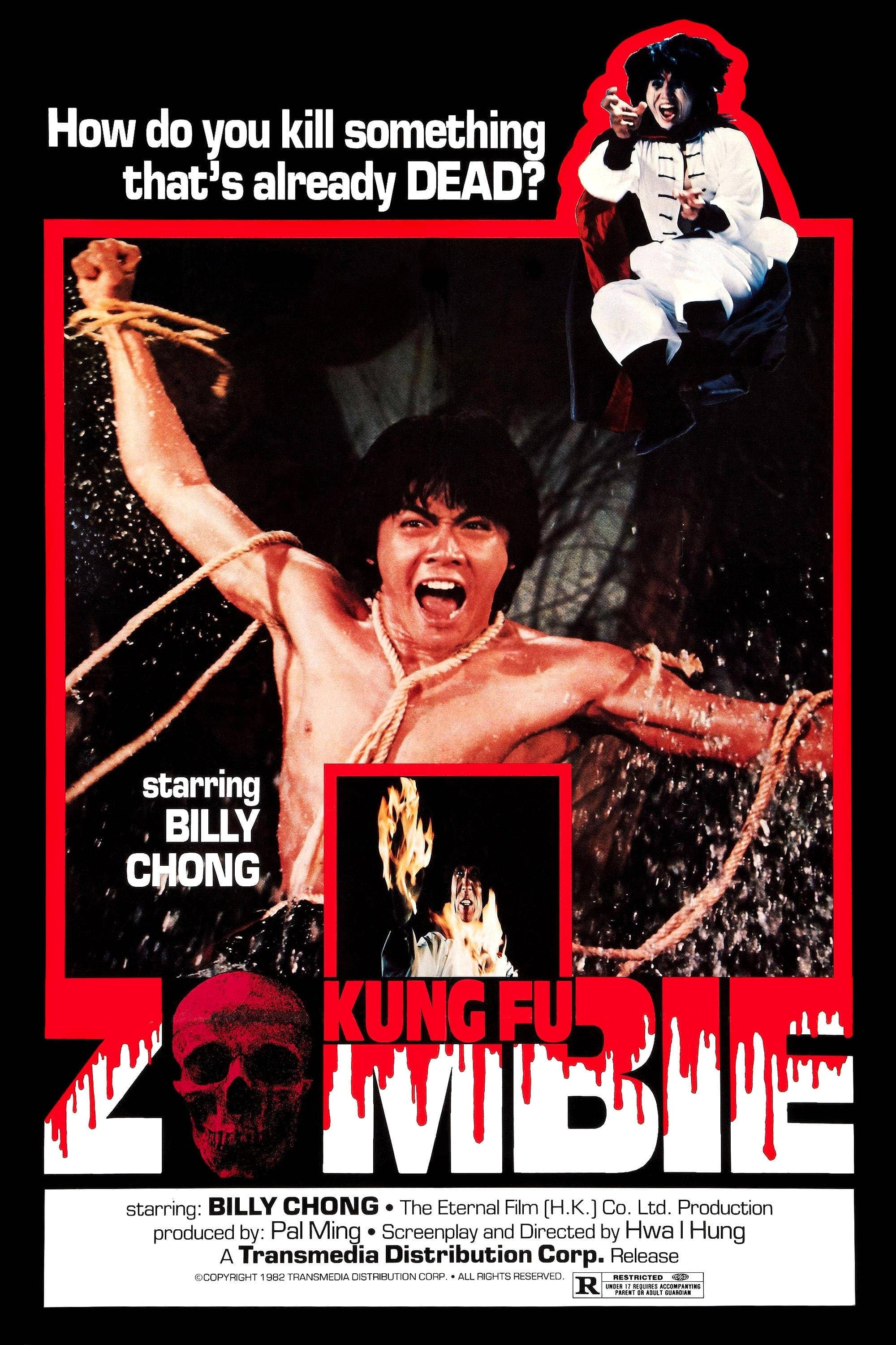 Poster Kung Fu Zombie