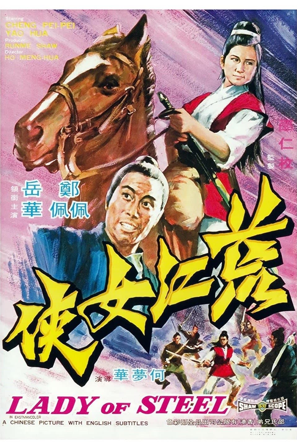 Poster Lady of Steel