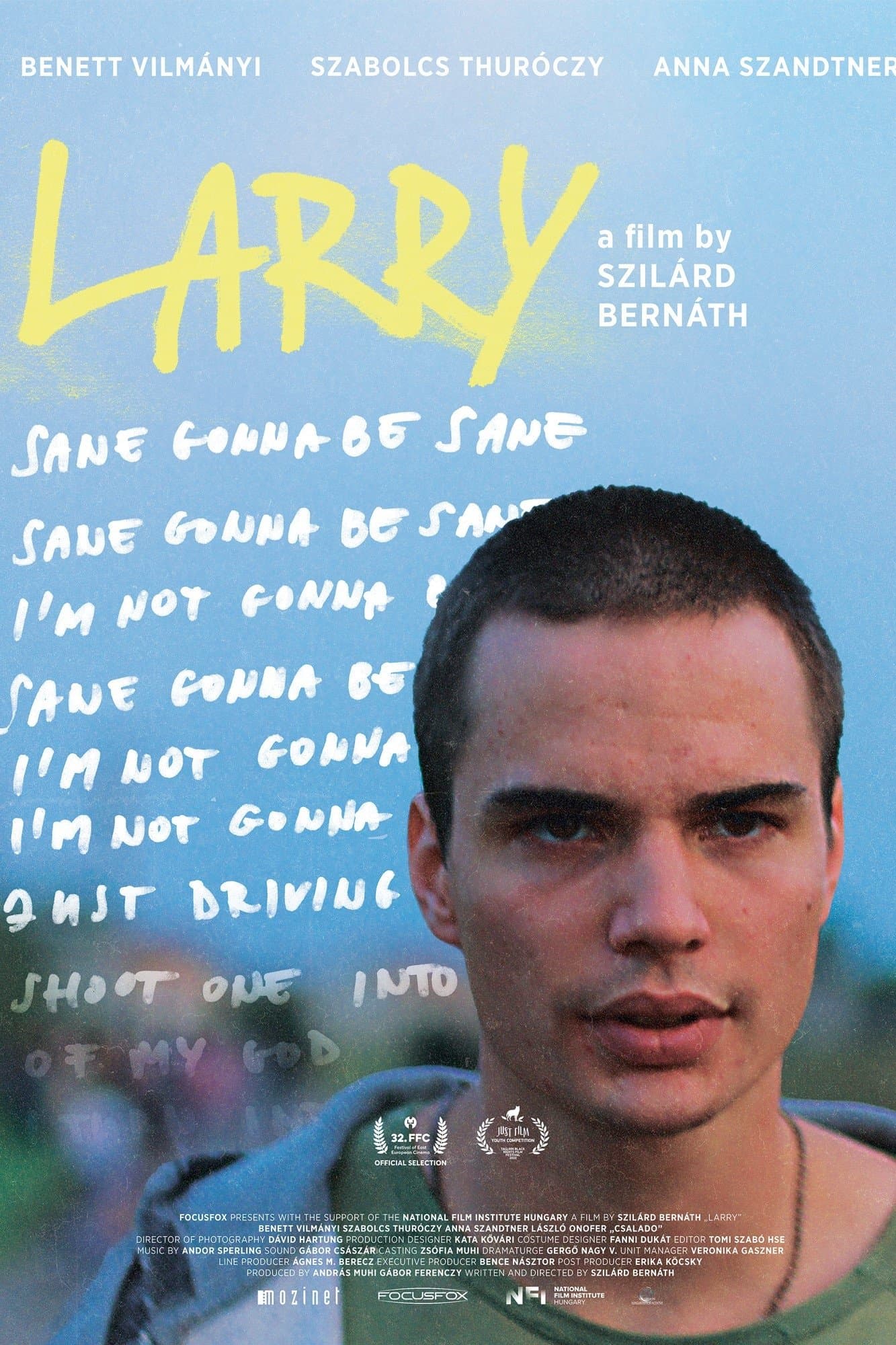 Poster Larry