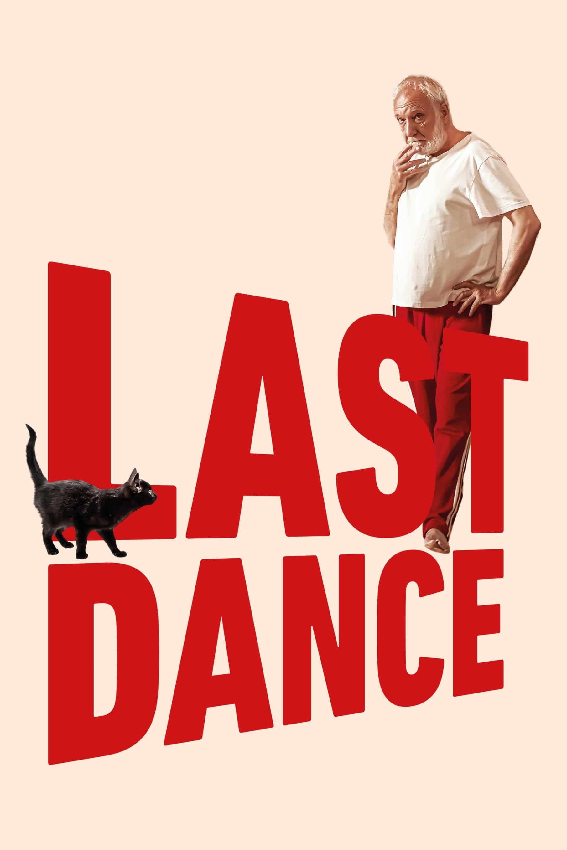 Poster Last Dance