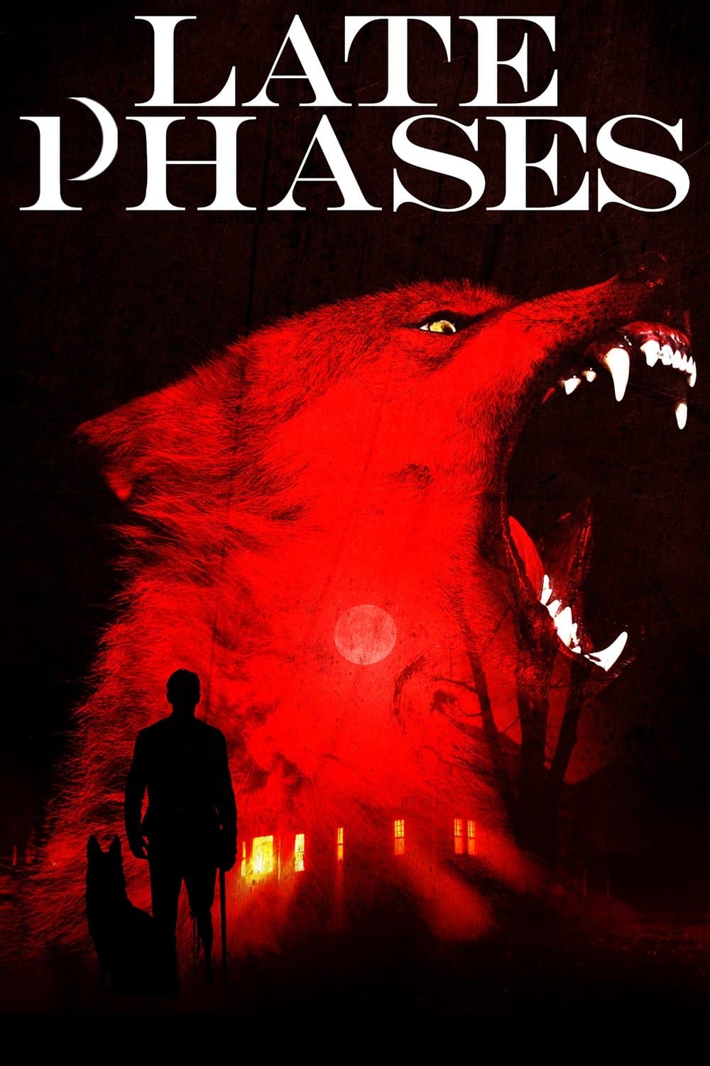 Poster Late Phases