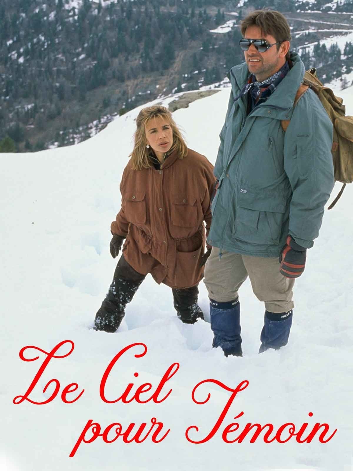 Poster Le ciel pour témoin