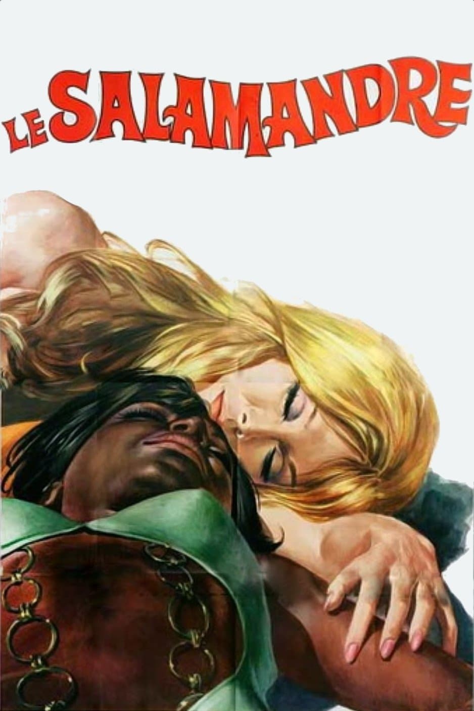 Poster Le salamandre