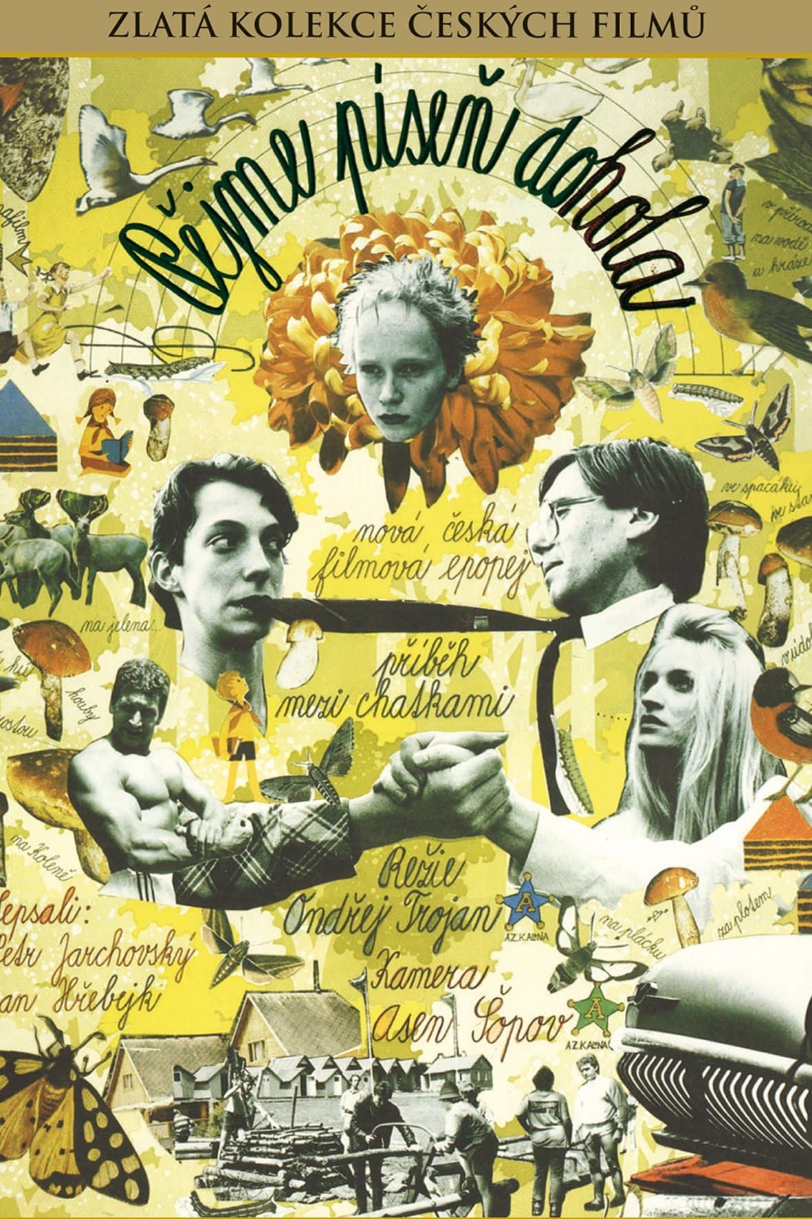 Poster Let's All Sing Around