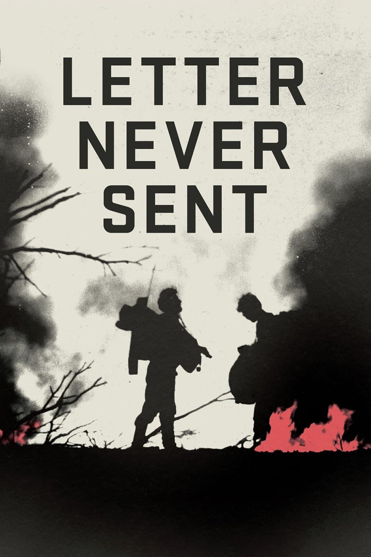 Poster Letter Never Sent