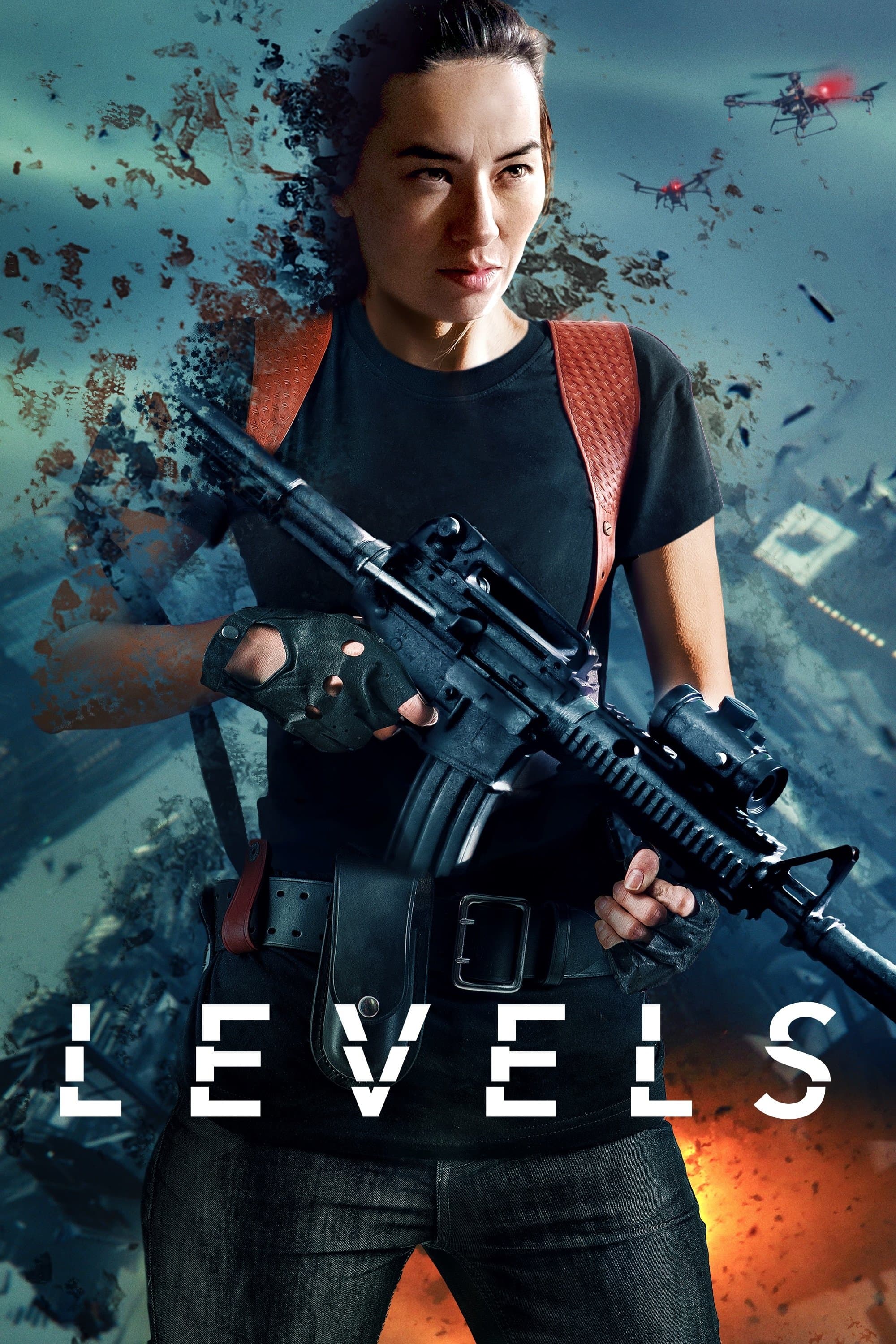 Poster Levels