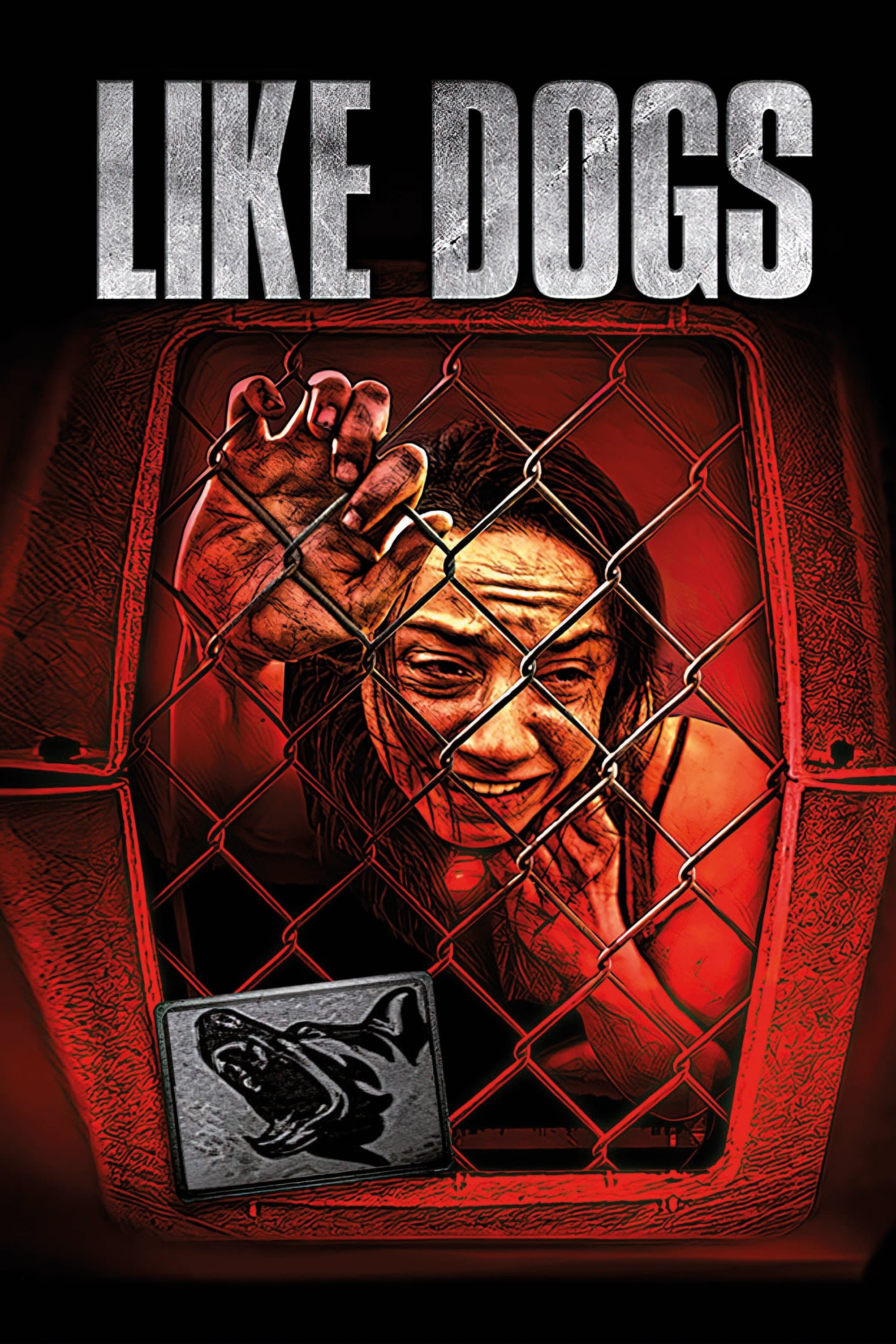 Poster Like Dogs