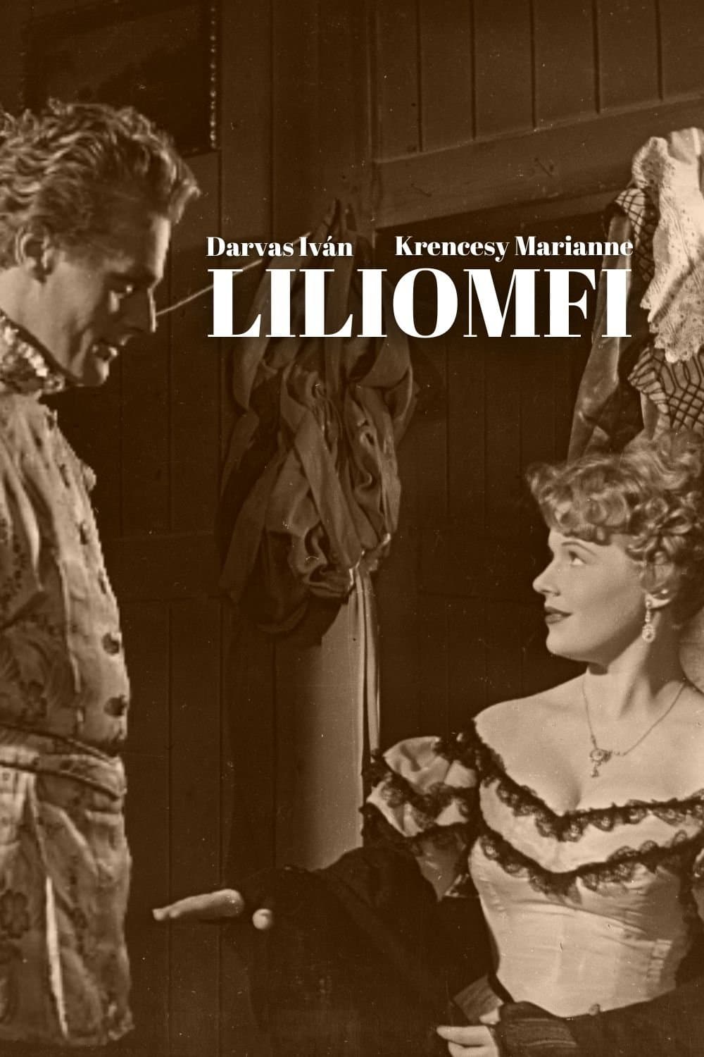 Poster Lily Boy