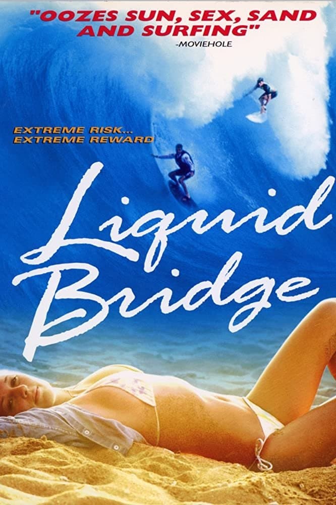 Poster Liquid Bridge