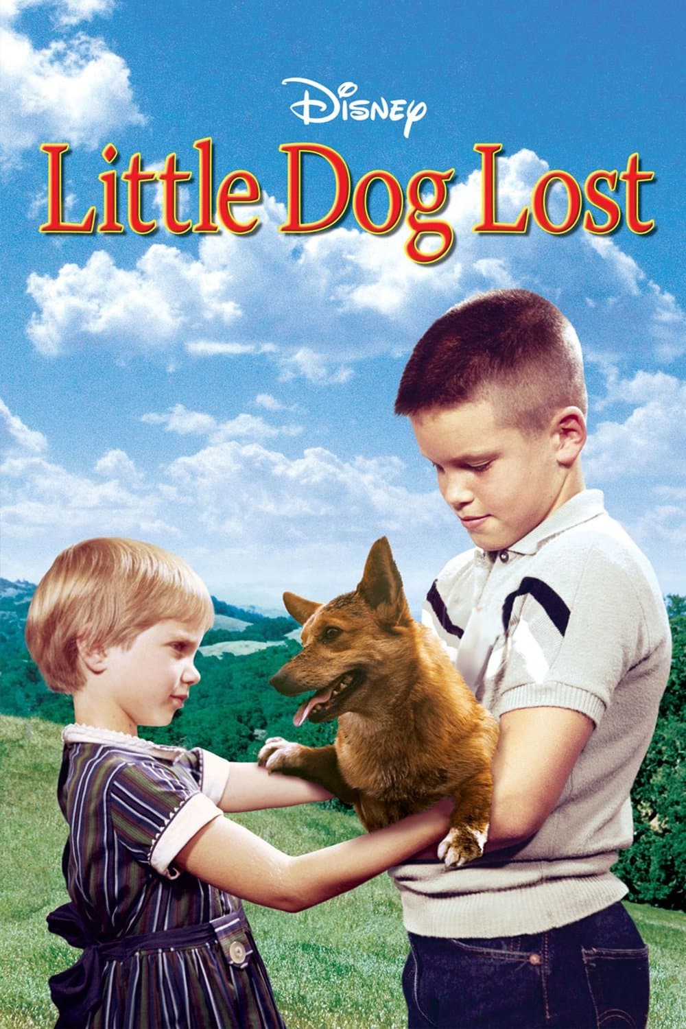 Poster Little Dog Lost