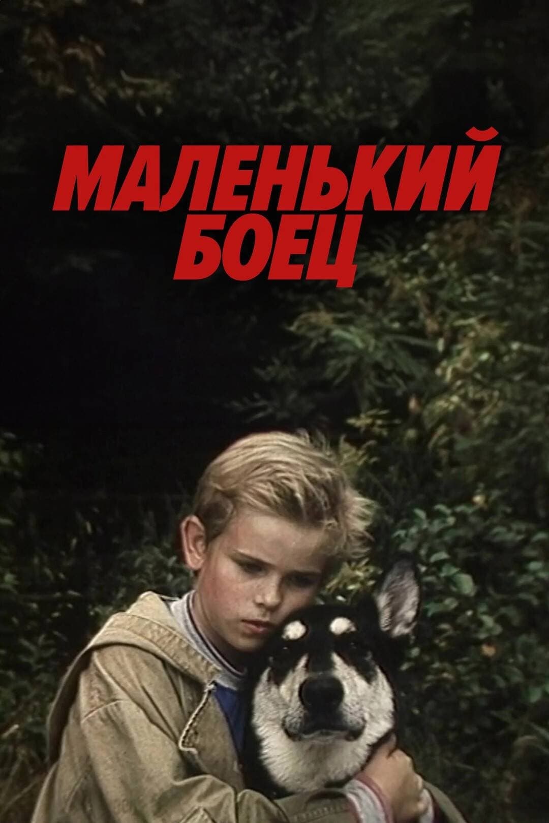 Poster Little Fighter